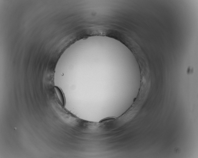 X0000112860096200909041604