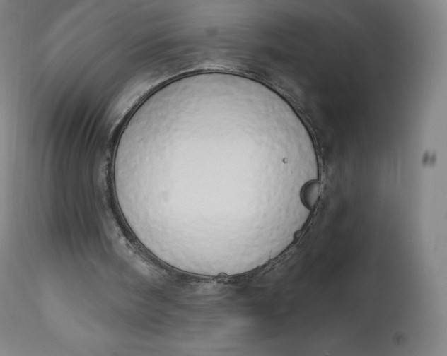 X0000112860098200909041603