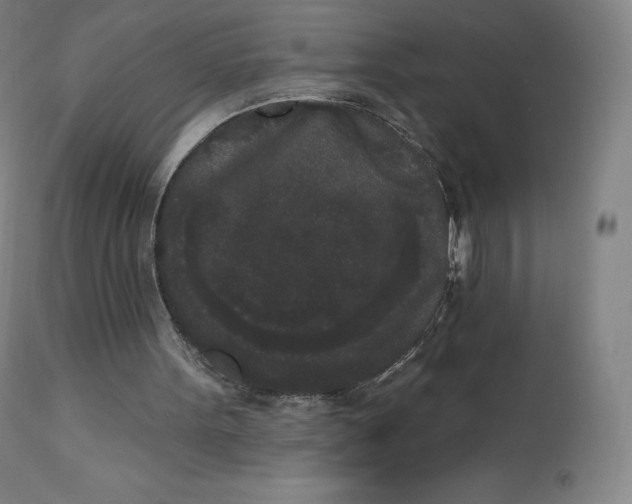 X0000112860099200909041603