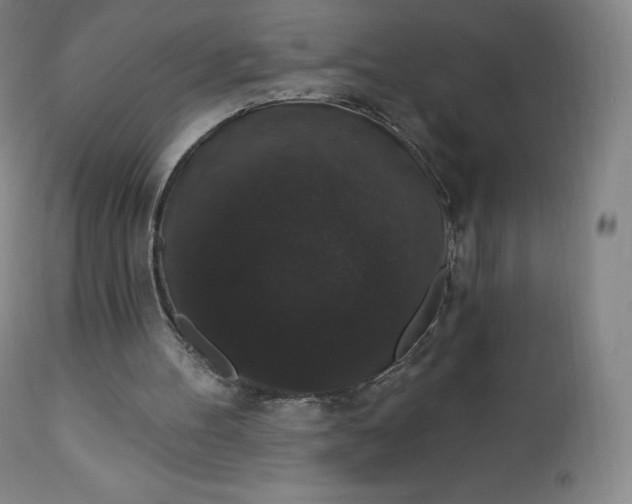 X0000112860100200909041603