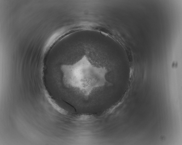 X0000112860101200909041603