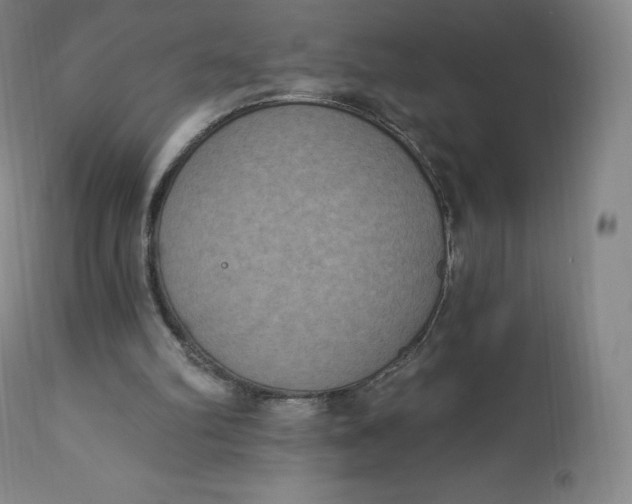 X0000112860102200909041603