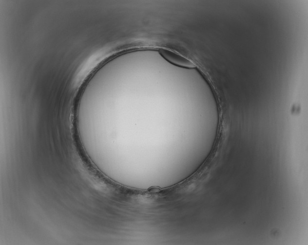 X0000112860103200909041603