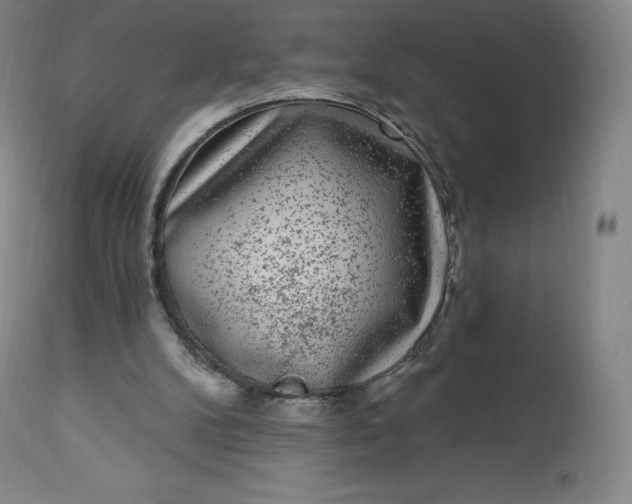 X0000112860104200909041603