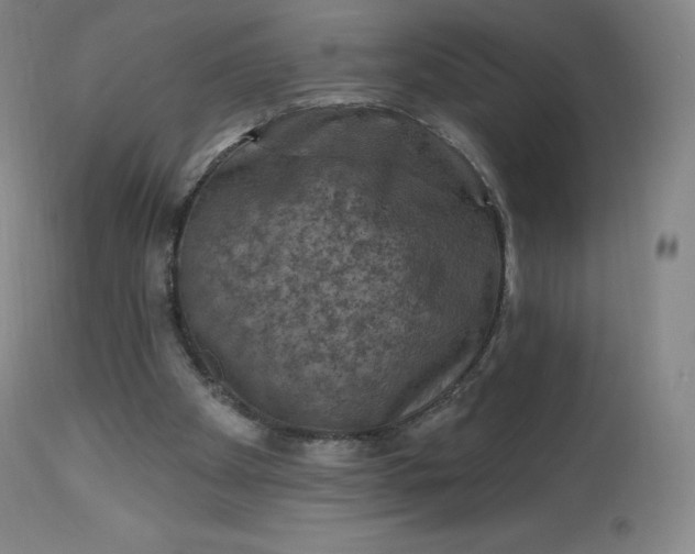 X0000112860105200909041603