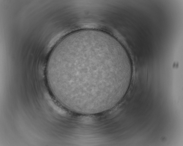 X0000112860106200909041603