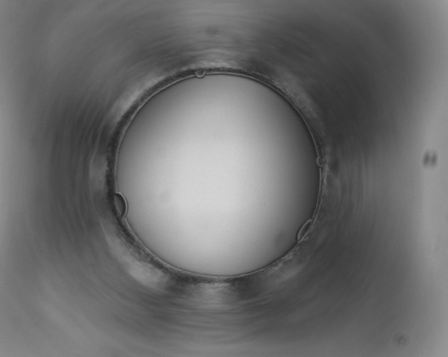 X0000112860108200909041603