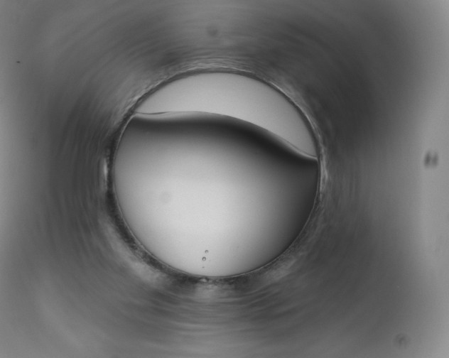 X0000112860109200909041603