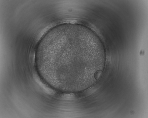 X0000112860110200909041603