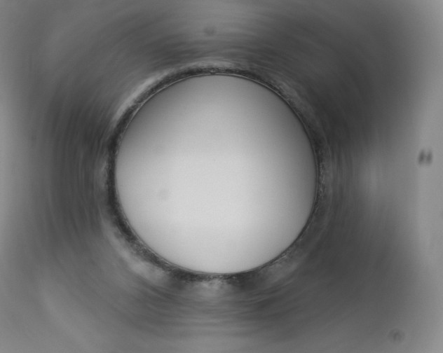 X0000112860112200909041603