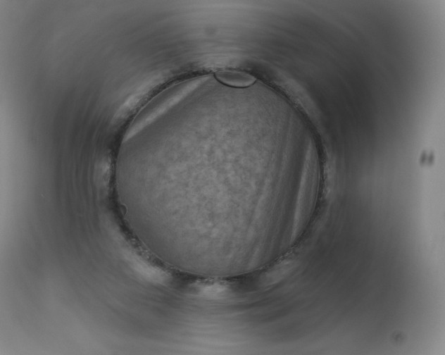 X0000112860113200909041603