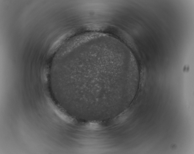 X0000112860114200909041603