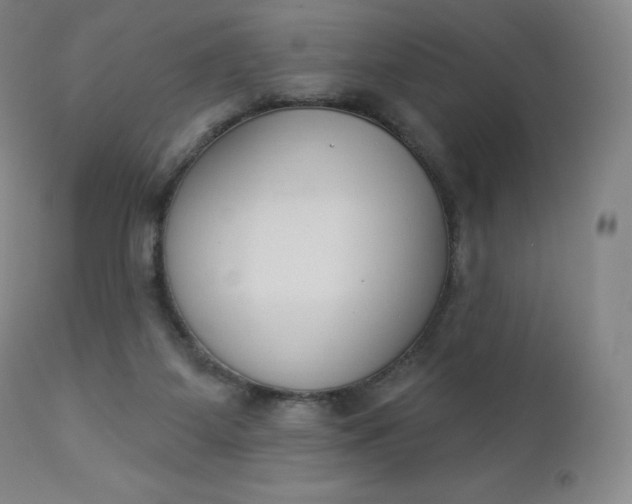 X0000112860115200909041602