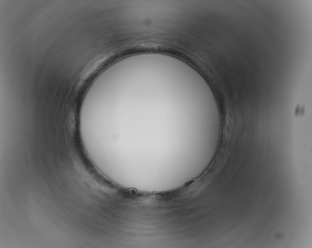 X0000112860116200909041602