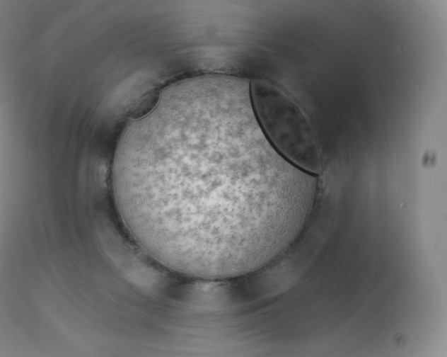 X0000112860117200909041602