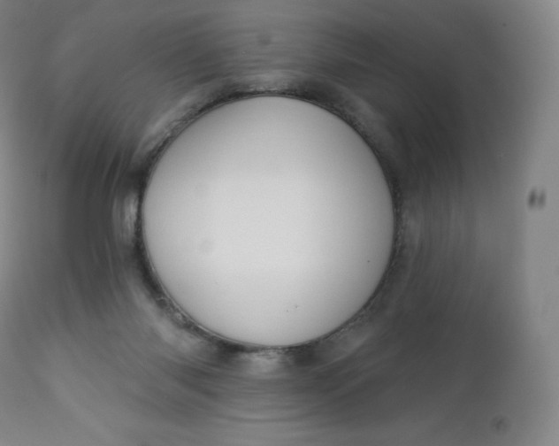 X0000112860118200909041602