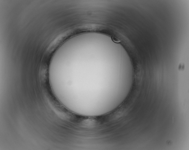 X0000112860119200909041602