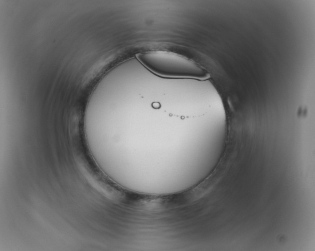 X0000112860120200909041602