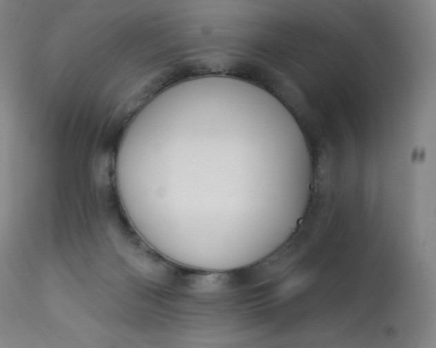 X0000112860122200909041602