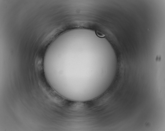 X0000112860123200909041602