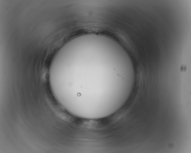 X0000112860125200909041602