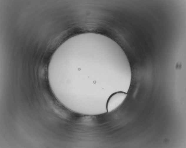 X0000112860126200909041602