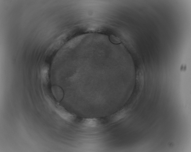 X0000112860127200909041602