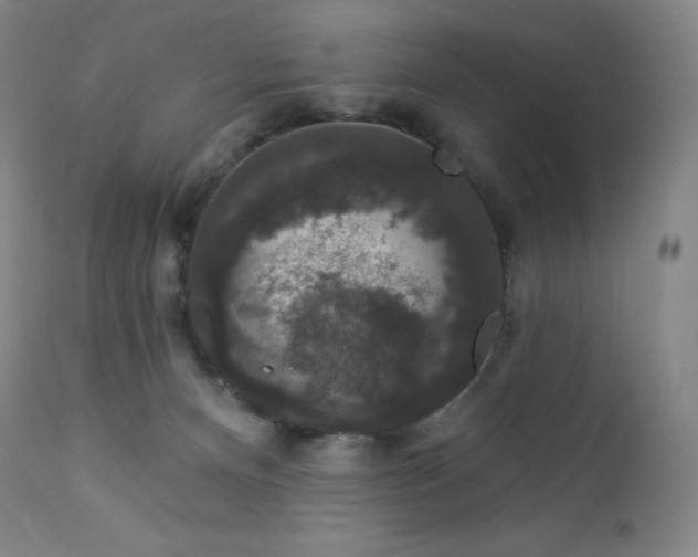 X0000112860128200909041602