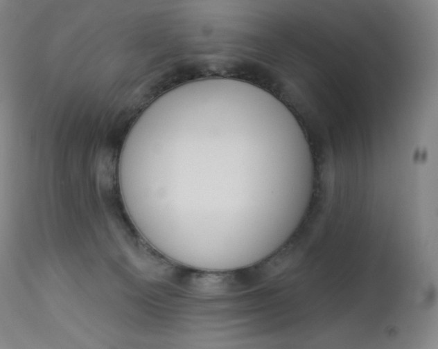 X0000112860129200909041602