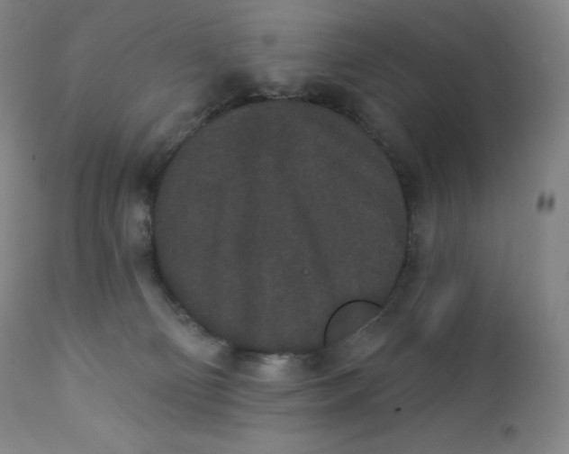 X0000112860130200909041602