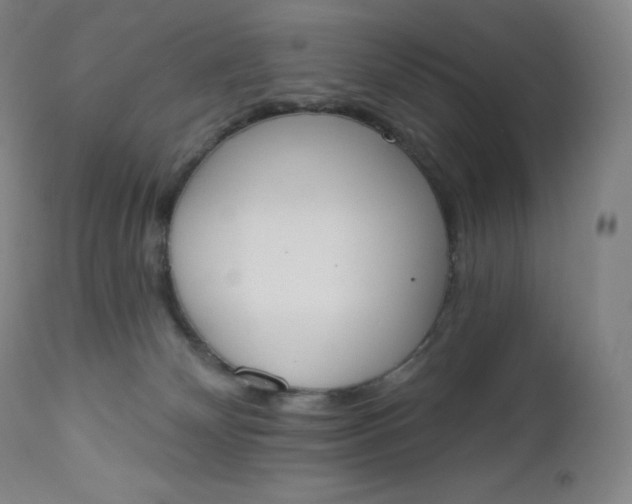 X0000112860132200909041602