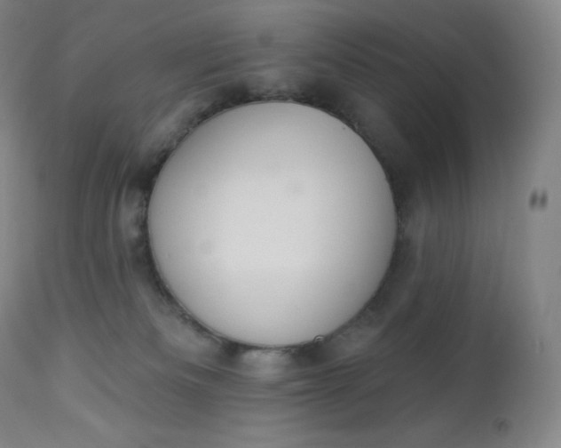 X0000112860133200909041602