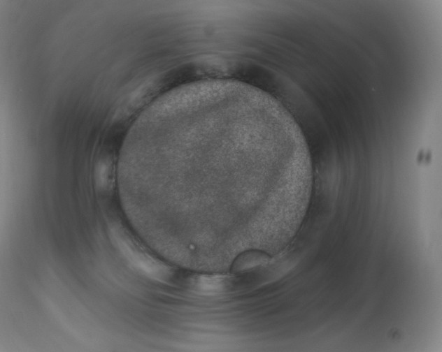 X0000112860134200909041602