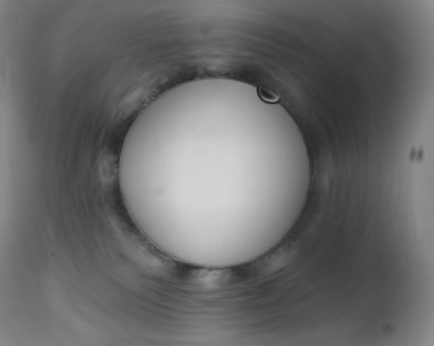 X0000112860135200909041602