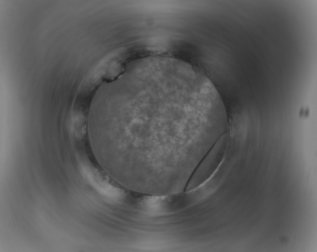 X0000112860136200909041602