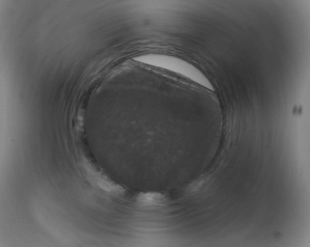 X0000112860137200909041602