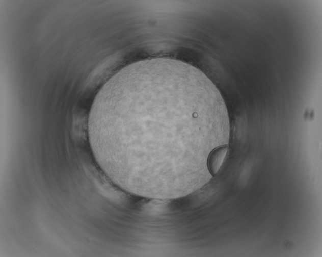 X0000112860138200909041602