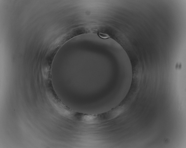 X0000112860139200909041602