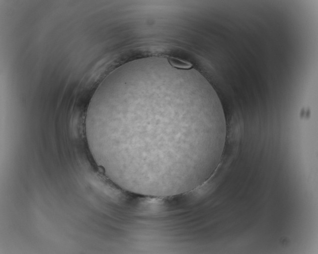 X0000112860140200909041602