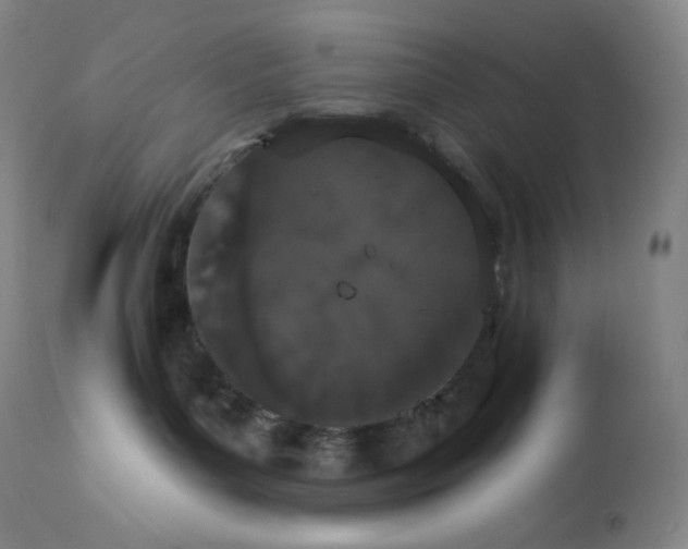 X0000112860143200909041602