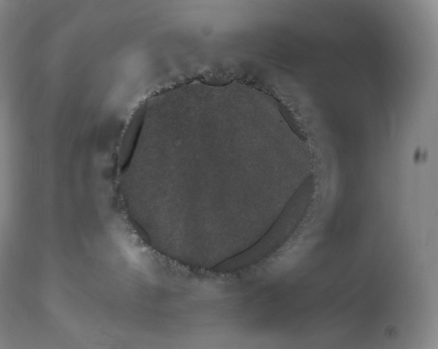 X0000112860144200909041602