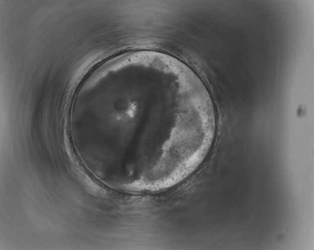 X0000112860145200909041601