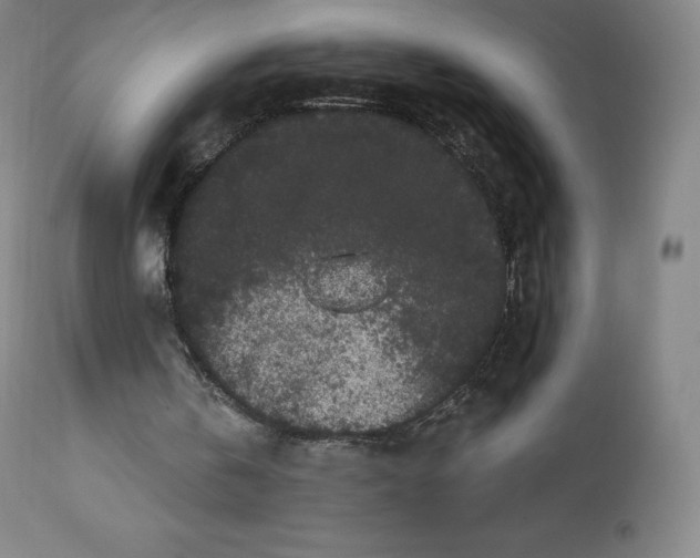 X0000112860146200909041601