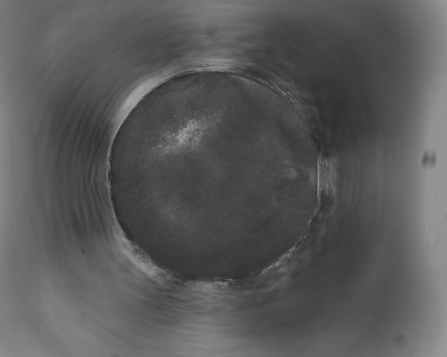 X0000112860147200909041601