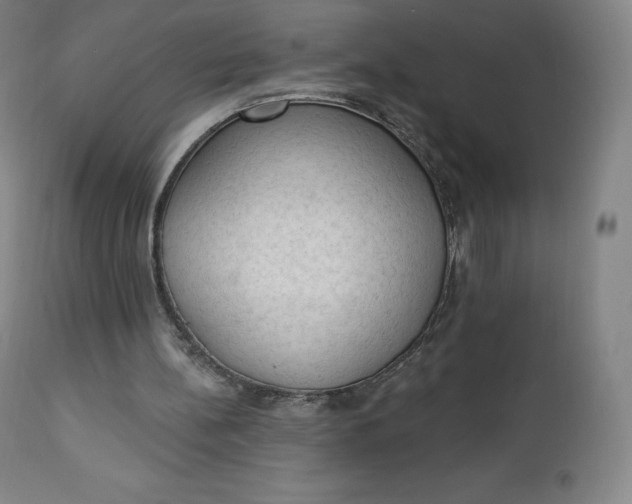 X0000112860148200909041601