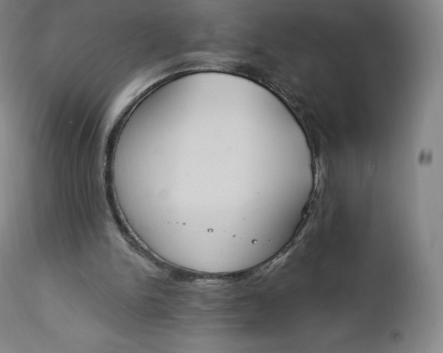 X0000112860150200909041601