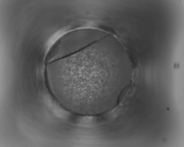 X0000112860152200909041601