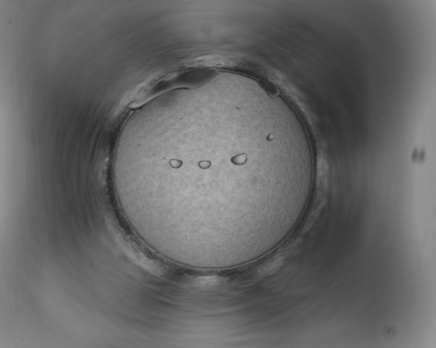 X0000112860153200909041601