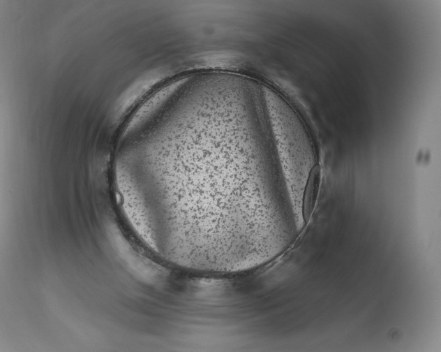 X0000112860154200909041601