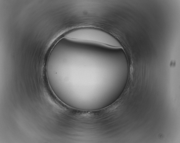 X0000112860156200909041602